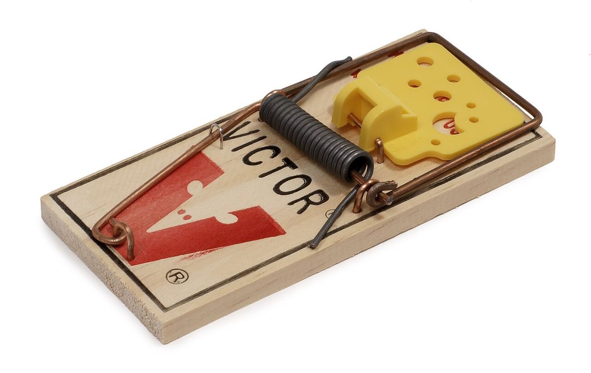 Piège à souris classique
